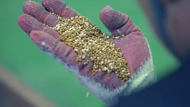 [2018] Official PR Video 썸네일